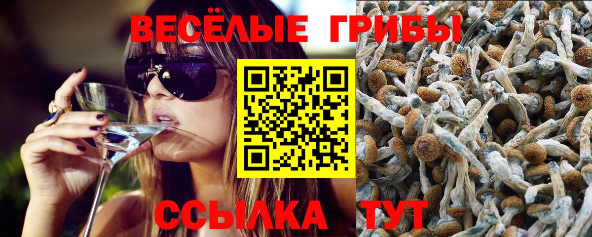 где купить наркотик  Вход с VPN  Россошь  Галлюциногенные грибы мухоморы 